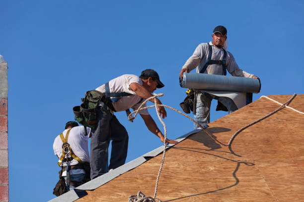 Best Roof Gutter Cleaning  in Vass, NC